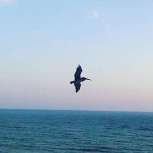 Meet your Posher, Savannah